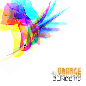 Blind bird